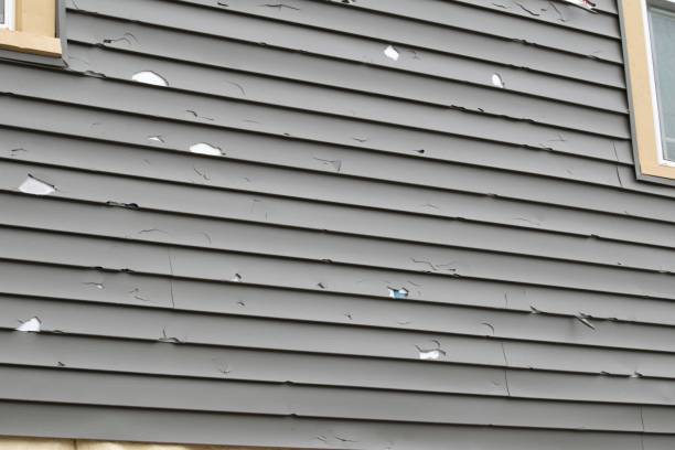 Best Residential Vinyl Siding Installation  in Manhattan Beach, CA