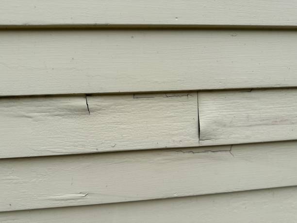 Trusted Manhattan Beach, CA Siding Installation & Repair Experts